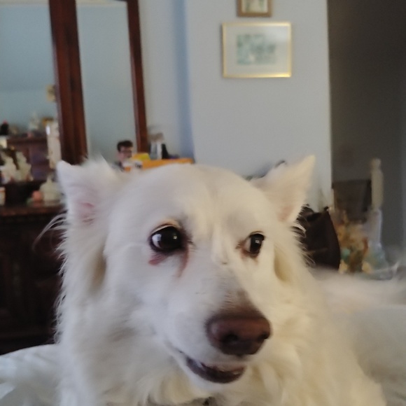 Meet Riley and Angie - Picture 5 of 5